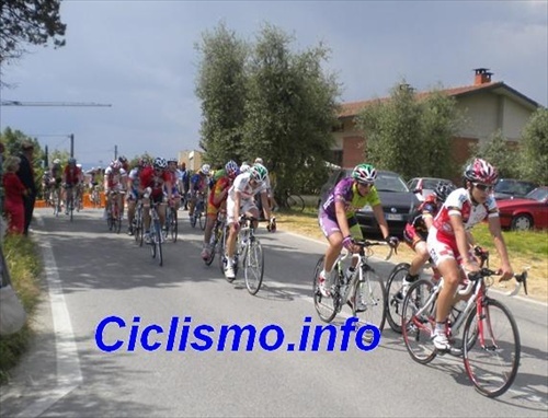 Classifiche Ciclismo.Info, spaccato reale della categoria Esordienti 